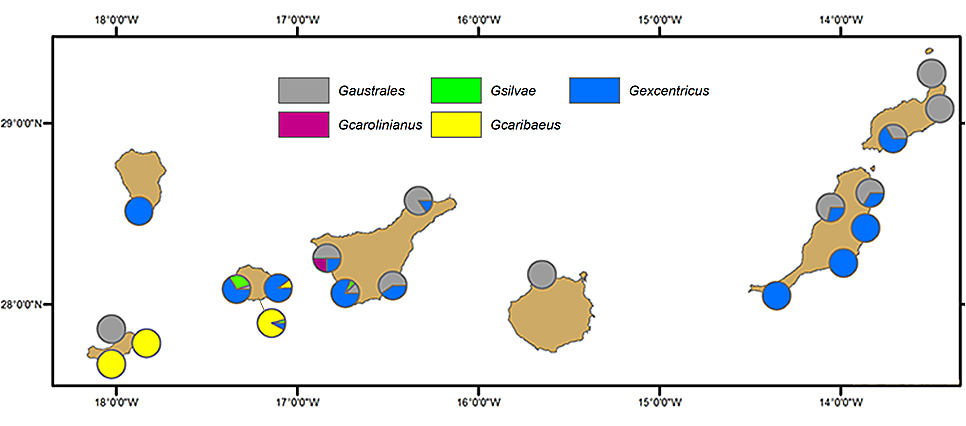 Distribución de Gambierdiscus en las Islas Canarias según Bravo et al 2019